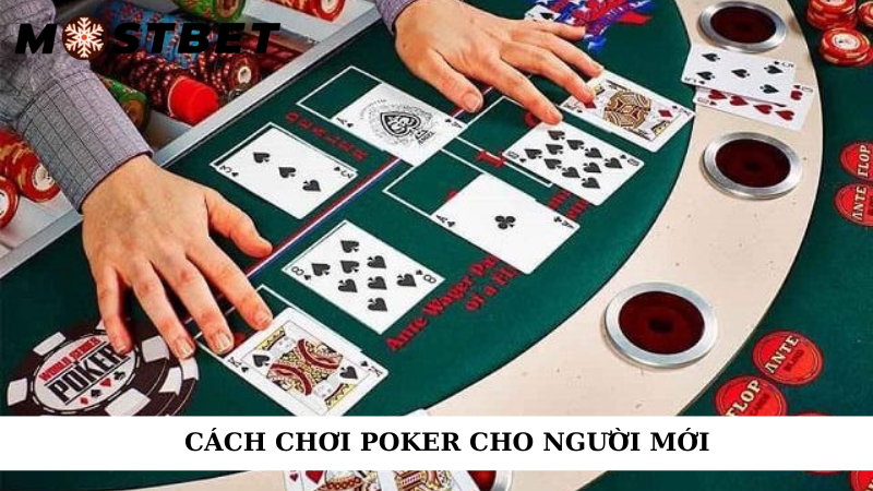 Cách chơi poker cho người mới