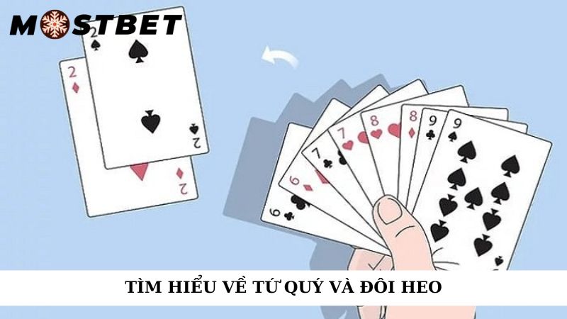 Tìm hiểu về tứ quý và đôi heo