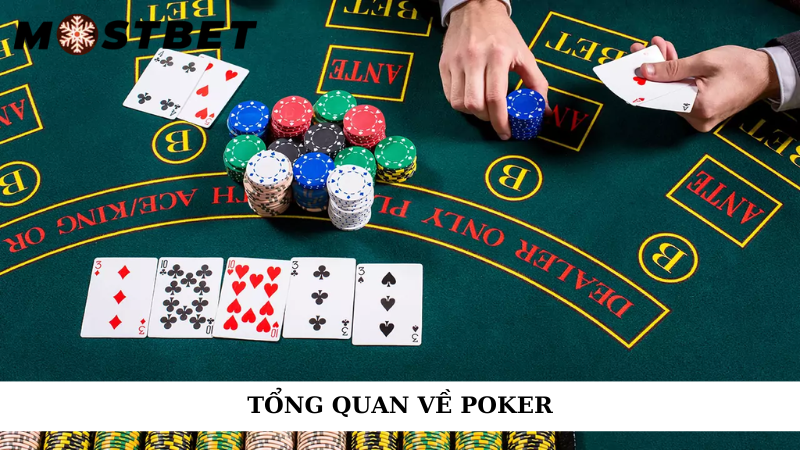 Tổng quan về poker